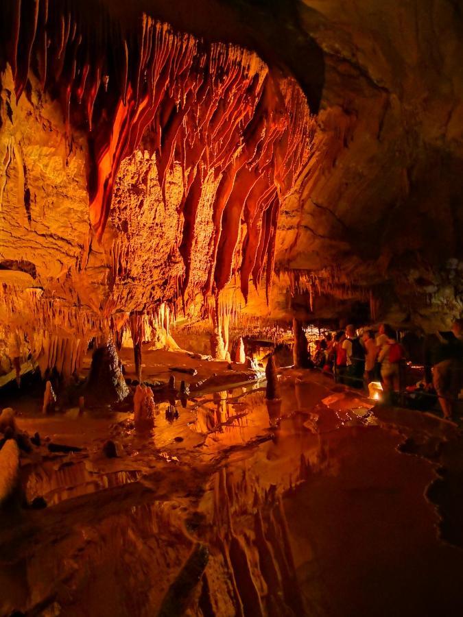Magnifique Gite En Pierres 6 Personnes Avec Piscine Privee Ardeche Plein Sud Lablachère Kültér fotó